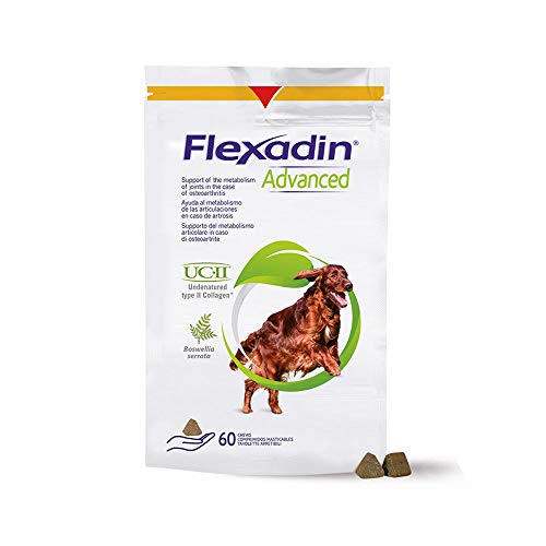 Flexadin Advanced Antioxidante para perros, 60 dosis