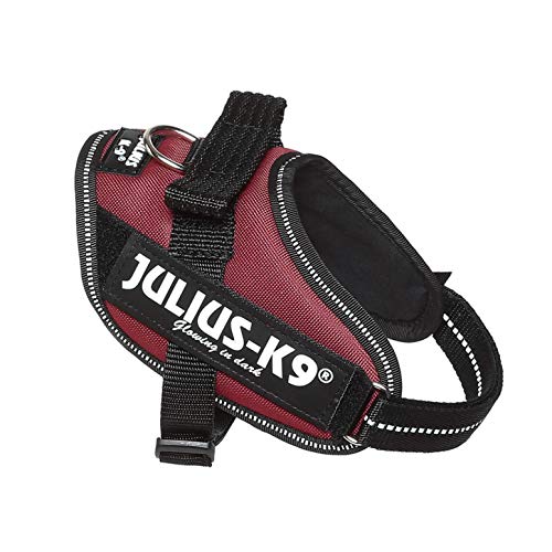JULIUS-K9 16IDC Power Harness